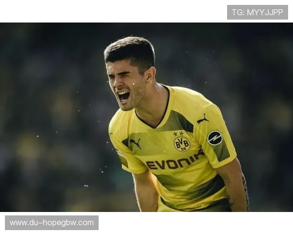 京多安的足球之路:从青训新星到世界级中场的辉煌历程