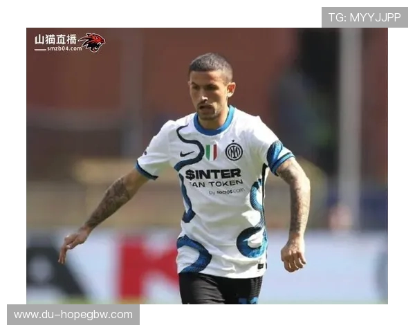 吉灵汉姆对桑德兰精彩直播全程回顾与赛后分析